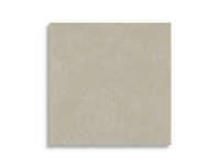 tuintegel Beige 60 x 60 | 596-958 | Jan Groen Tegels