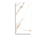 Vloertegels STN Lumiere Natural 60 x 120 | 063-220 | Jan Groen Tegels