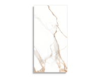 Vloertegels STN Lumiere Natural 60 x 120 | 063-220 | Jan Groen Tegels