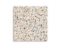 vloertegel Multi 60 x 60 | 948-747 | Jan Groen Tegels