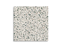 vloertegel Multi 60 x 60 | 498-548 | Jan Groen Tegels