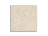 vloertegel Beige 119.5 x 119.5 | 816-971 | Jan Groen Tegels