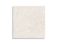 vloertegel Beige 60 x 60 | 811-132 | Jan Groen Tegels