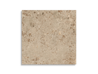 vloertegel Bruin 120 x 120 | 313-313 | Jan Groen Tegels