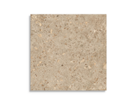 vloertegel Bruin 120 x 120 | 313-313 | Jan Groen Tegels