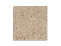 vloertegel Bruin 120 x 120 | 313-313 | Jan Groen Tegels