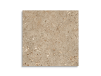 vloertegel Bruin 120 x 120 | 313-313 | Jan Groen Tegels