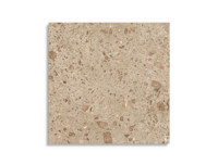 vloertegel Bruin 80 x 80 | 665-056 | Jan Groen Tegels