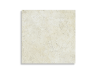 vloertegel Wit 10 x 10 | 769-344 | Jan Groen Tegels