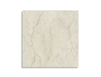 vloertegel Beige 30 x 30 | 899-520 | Jan Groen Tegels