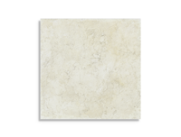 vloertegel Wit 60 x 60 | 679-195 | Jan Groen Tegels