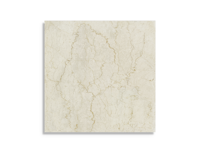 vloertegel Beige 60 x 60 | 912-434 | Jan Groen Tegels