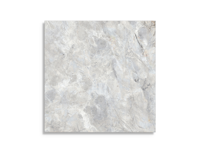 vloertegel Porcelanosa Vendome Nature 120 x 120 | 286-738 | Jan Groen Tegels