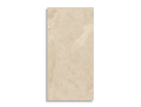 vloertegel Caesar Slab 2.0 Khaki 60 x 120 | 407-468 | Jan Groen Tegels