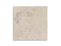 vloertegel Geotiles Stratos Brecci Mud 60 x 60 | 252-331 | Jan Groen Tegels