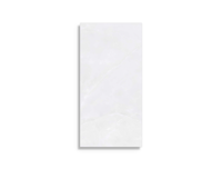 vloertegel Geotiles Gemma White 30 x 60 | 144-266 | Jan Groen Tegels