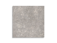 vloertegel Pamesa Dover Gris 60 x 60 | 733-683 | Jan Groen Tegels