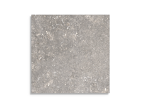 vloertegel Pamesa Dover Gris 60 x 60 | 733-683 | Jan Groen Tegels