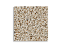 vloertegel Multi 60 x 60 | 285-115 | Jan Groen Tegels