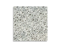 vloertegel Multi 60 x 60 | 563-087 | Jan Groen Tegels