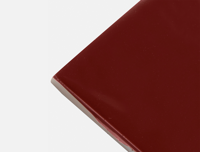 wandtegel Rood 10 x 10 | 006-281 | Jan Groen Tegels