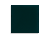 wandtegel Groen 10 x 10 | 921-568 | Jan Groen Tegels