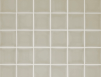 wandtegel Grijs 10 x 10 | 288-300 | Jan Groen Tegels