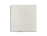 wandtegel Wit 10 x 10 | 783-873 | Jan Groen Tegels