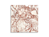 vloertegel Rood 119.4 x 119.4 | 885-744 | Jan Groen Tegels