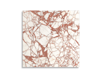 vloertegel Rood 119.4 x 119.4 | 885-744 | Jan Groen Tegels