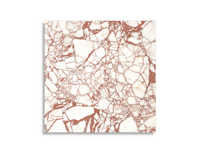 vloertegel Rood 119.4 x 119.4 | 885-744 | Jan Groen Tegels