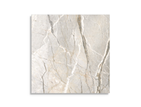 vloertegel Multi 119.4 x 119.4 | 138-159 | Jan Groen Tegels