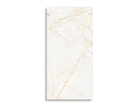 vloertegel Goud 59.6 x 119.4 | 880-426 | Jan Groen Tegels