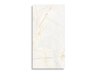 vloertegel Goud 59.6 x 119.4 | 880-426 | Jan Groen Tegels