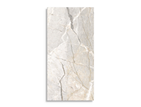 vloertegel Multi 59.6 x 119.4 | 549-994 | Jan Groen Tegels