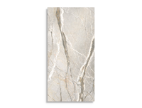 vloertegel Multi 59.6 x 119.4 | 305-635 | Jan Groen Tegels