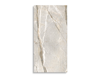 vloertegel Multi 59.6 x 119.4 | 305-635 | Jan Groen Tegels