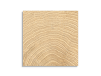 vloertegel vtwonen Woodcirkle Oak 10 x 10 | 473-004 | Jan Groen Tegels