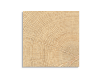 vloertegel vtwonen Woodcirkle Oak 10 x 10 | 473-004 | Jan Groen Tegels