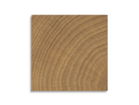 vloertegel vtwonen Woodcirkle Walnutt 10 x 10 | 338-645 | Jan Groen Tegels