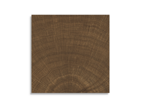 vloertegel vtwonen Woodcirkle Wenge 10 x 10 | 857-568 | Jan Groen Tegels