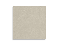 vloertegel Beige 60 x 60 | 856-079 | Jan Groen Tegels