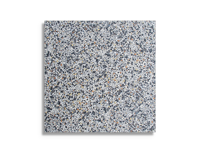 vloertegel Multi 59.5 x 59.5 | 885-700 | Jan Groen Tegels