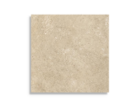 vloertegel Beige 60.4 x 60.4 | 501-687 | Jan Groen Tegels
