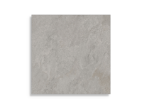 vloertegel Grijs 60 x 60 | 409-489 | Jan Groen Tegels
