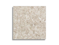 vloertegel Wit 60 x 60 | 619-086 | Jan Groen Tegels