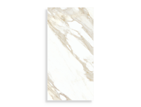 vloertegel Wit 60 x 120 | 991-961 | Jan Groen Tegels