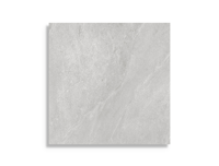 vloertegel Grijs 80 x 80 | 102-337 | Jan Groen Tegels