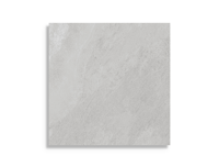 vloertegel Grijs 60 x 60 | 712-920 | Jan Groen Tegels