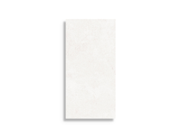 vloertegel Wit 30 x 60 | 350-569 | Jan Groen Tegels